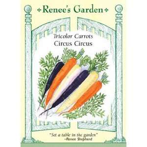  Carrot Seeds   Circus Circus Patio, Lawn & Garden
