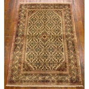    3x5 Hand Knotted Enjelas Persian Rug   50x32: Home & Kitchen