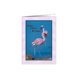  Birthday, 106th, Pink Flamingos Card: Toys & Games