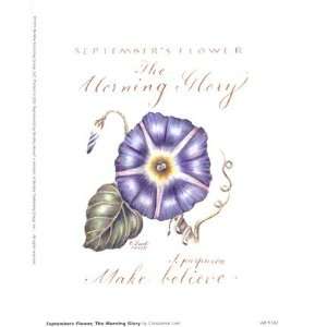  Septembers Flower, Morning Glory   Poster by Constance 