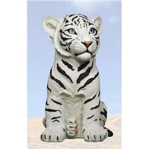  Rumba White Tiger Cub: Everything Else