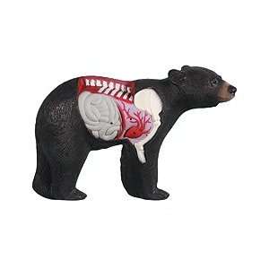 Anatomy Black Bear Target 