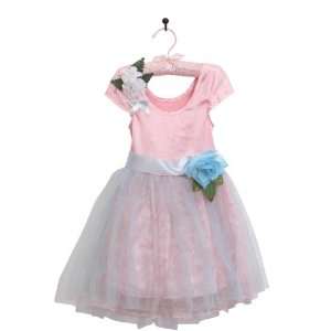    Miss Princess Pink Rose Garden Fantasy Dancewear: Toys & Games