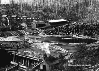 Bridal Veil BV Lumber Co Oregon Saw Mill & Flume 1911  