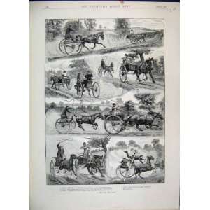   : 1893 Horses Racing Carriage Fitzowl Yokel Old Print: Home & Kitchen