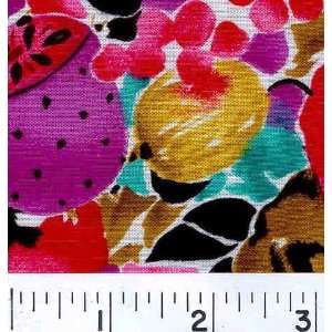  4445 Wide Fruit Bright Multi Fabric By The Yard: Arts 