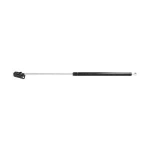  Strong Arm 4826 Hatch Lift Support: Automotive