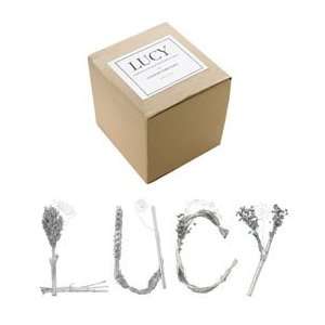  personalized silver twig letter set (2 4 letters)