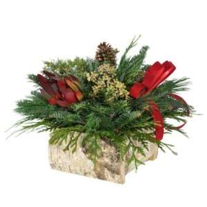   Fresh Mountain Evergreens Birch Holiday Centerpiece: Everything Else