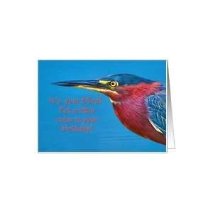  Birthday, 83rd, Green Heron Bird Card Toys & Games