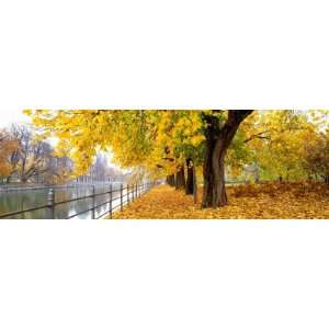 Autumn Scene, Munich, Germany by Panoramic Images, 24x8