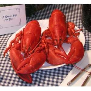 lbs Live Cold Water Lobsters: Grocery & Gourmet Food
