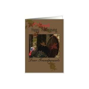   , Grandparents,Tom Turkey, Fanned Tail Feathers, Maple Leaves Card
