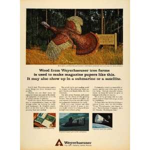  1965 Ad Weyerhaeuser Wild Turkey Loblolly Pine Forest 