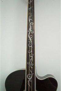 NEW Micheal Kelly Dragonfly 4 String Fretless Acoustic Bass  