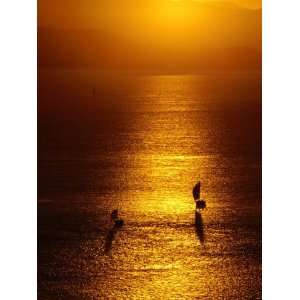 Boats at Sunset, Whitsunday Islands National Park, Australia Stretched 