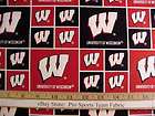 University of Wisconsin College Badgers Team fabric  