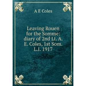  : diary of 2nd Lt. A. E. Coles, 1st Som. L.I. 1917: A E Coles: Books