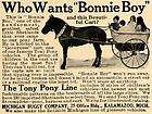 1909 ad shetland tony pony michigan buggy bonnie boy original