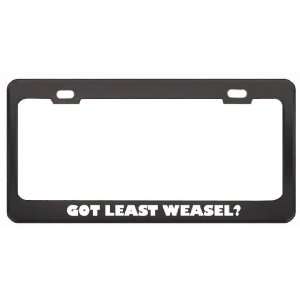 Got Least Weasel? Animals Pets Black Metal License Plate Frame Holder 
