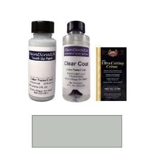   Gray Paint Bottle Kit for 2003 Ford Police Car (TM/M2007): Automotive