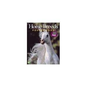  The Horse Breeds Poster Book **ISBN 9781580175074 