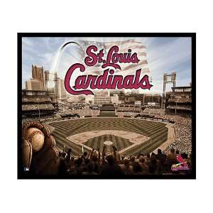  St. Louis Cardinals Team Glory on Canvas: Sports 
