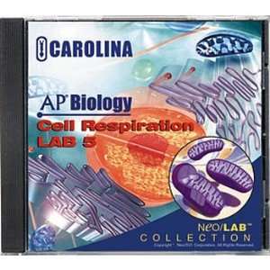 AP Biology Lab 5 Cell Respiration CD ROM  Industrial 