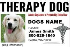 Custom ID Card / Badge for Working Dogs and Handler Therapy Dog #3 