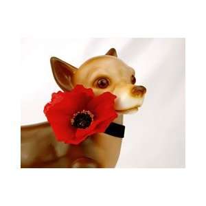  Silk Poppy Neck Flower on Stretch Velvet Dog Collar (Red 