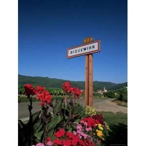  Village Sign and Flowers, Riquewihr, Haut Rhin, Alsace 