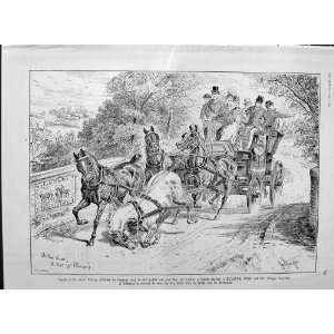   1889 Advertisement Horses Elliman Sons Slough England