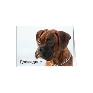  Bulgarian good bye Brindle Boxer Puppy Card Health 