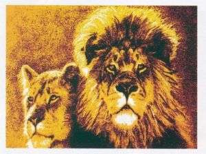 5x8 AFRICAN LION PRIDE CAT ANIMAL KING TIGER RUG 635  