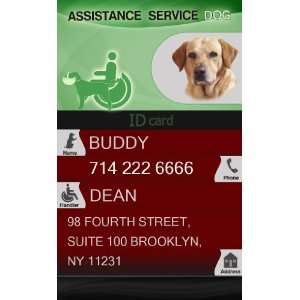  ASSISTANCE SERVICE DOG ID Badge Bundle   1 Handlers 