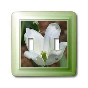 com SmudgeArt Photography Art Designs   White Blossom Flower   Light 