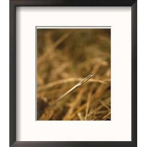  Needle in a Haystack Collections Framed Photographic 