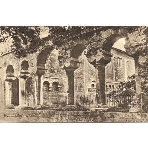  1920s Vintage Postcard Cloister of Winchester Cathedral Winchester 