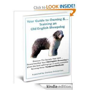 Old English Sheepdog How to Train & Care for Your Canine Companion 