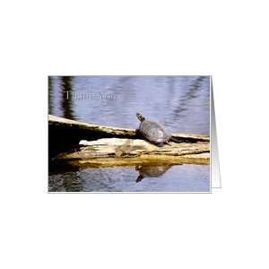  Thank You Box Turle Greeting Card Card Health & Personal 