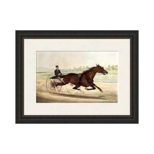   Driven By Orrin A Hickok 1880 Framed Giclee Print: Home & Kitchen