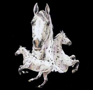 BEAUTIFUL SPOTTED APPALOOSA ART HORSE SHOW T SHIRT W304  