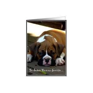 Buena Suerte Boxer puppy Card