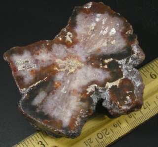 Quartz after Aragonite Pseudomorph Specimen 7.5cm 171gm  