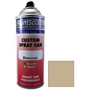  12.5 Oz. Spray Can of Suntan Copper Poly Touch Up Paint 