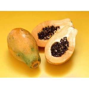  Hawaiian Papaya Live plant great Tropical Fruit Trees 