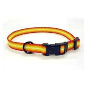 Coastal Pet Trendz Graduated Adjustable Nylon Dog Collar (Orange, 12 