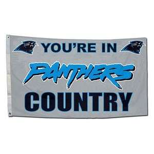   Sports Carolina Panthers 3x5 Country Design Flag: Sports & Outdoors
