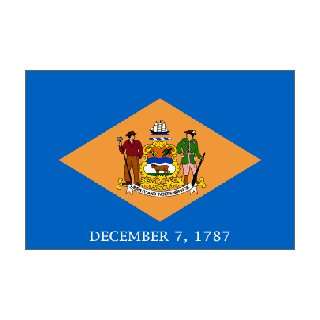  Delaware State Flag Nylon 5 ft. x 8 ft.: Home & Kitchen