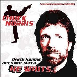  Chuck Norris 2010 Wall Calendar